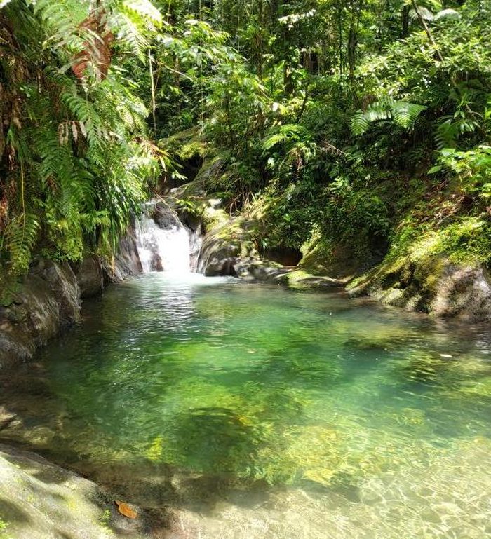Bassin Carmichaël