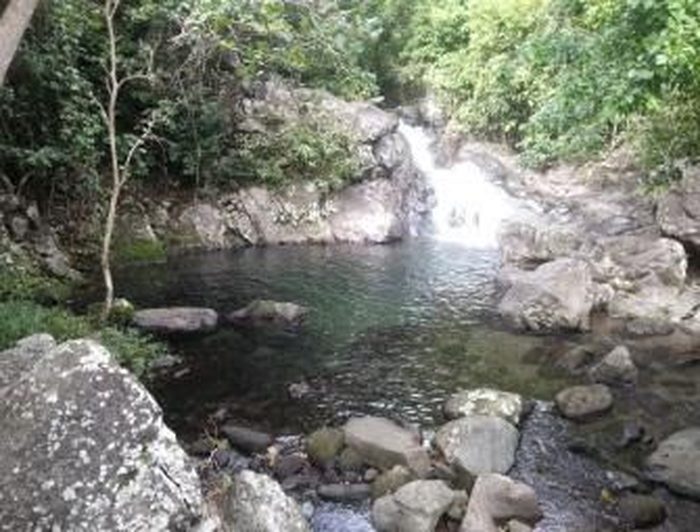 Bassin et petite cascade