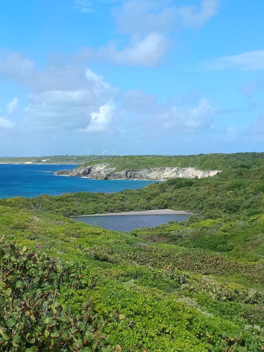 Littoral de St François